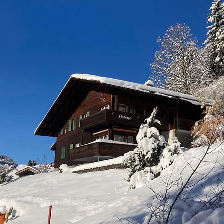 Apartment Helene-4 Wengen Buitenkant foto