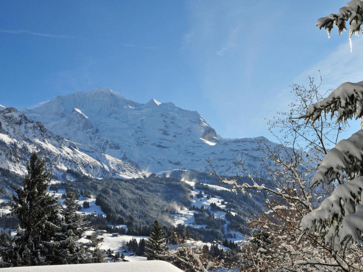 Apartment Helene-4 Wengen Buitenkant foto