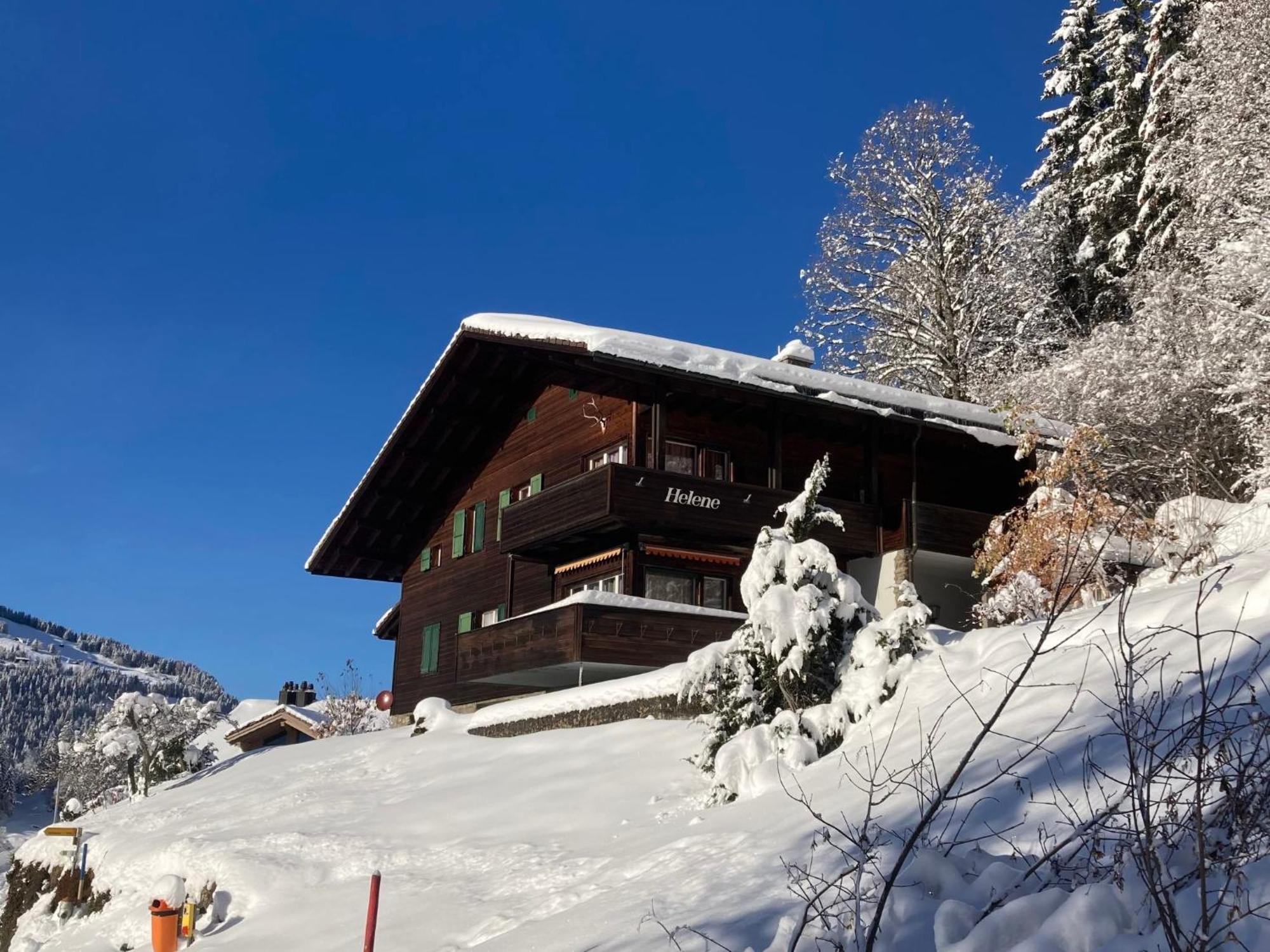 Apartment Helene-4 Wengen Buitenkant foto