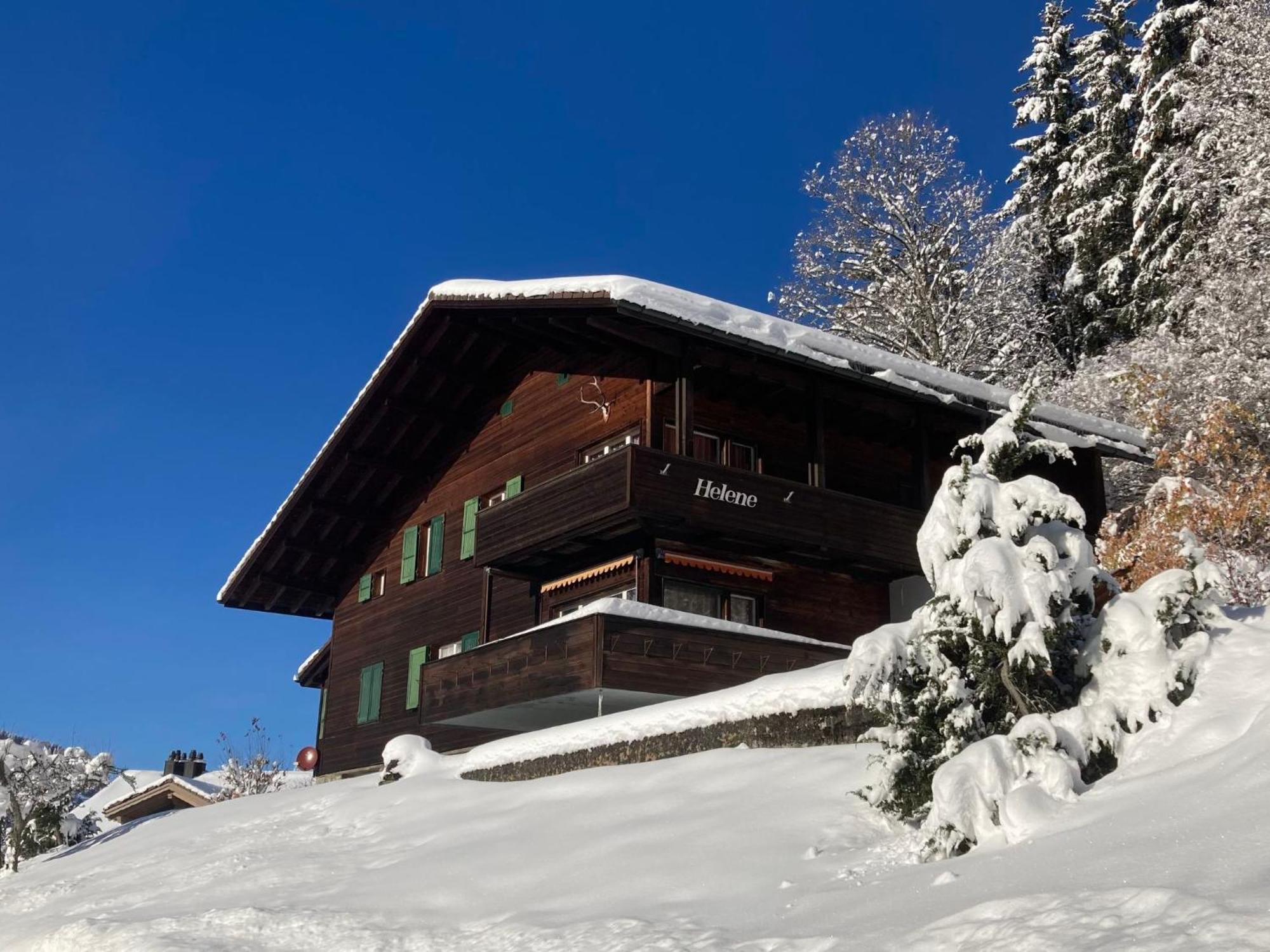 Apartment Helene-4 Wengen Buitenkant foto
